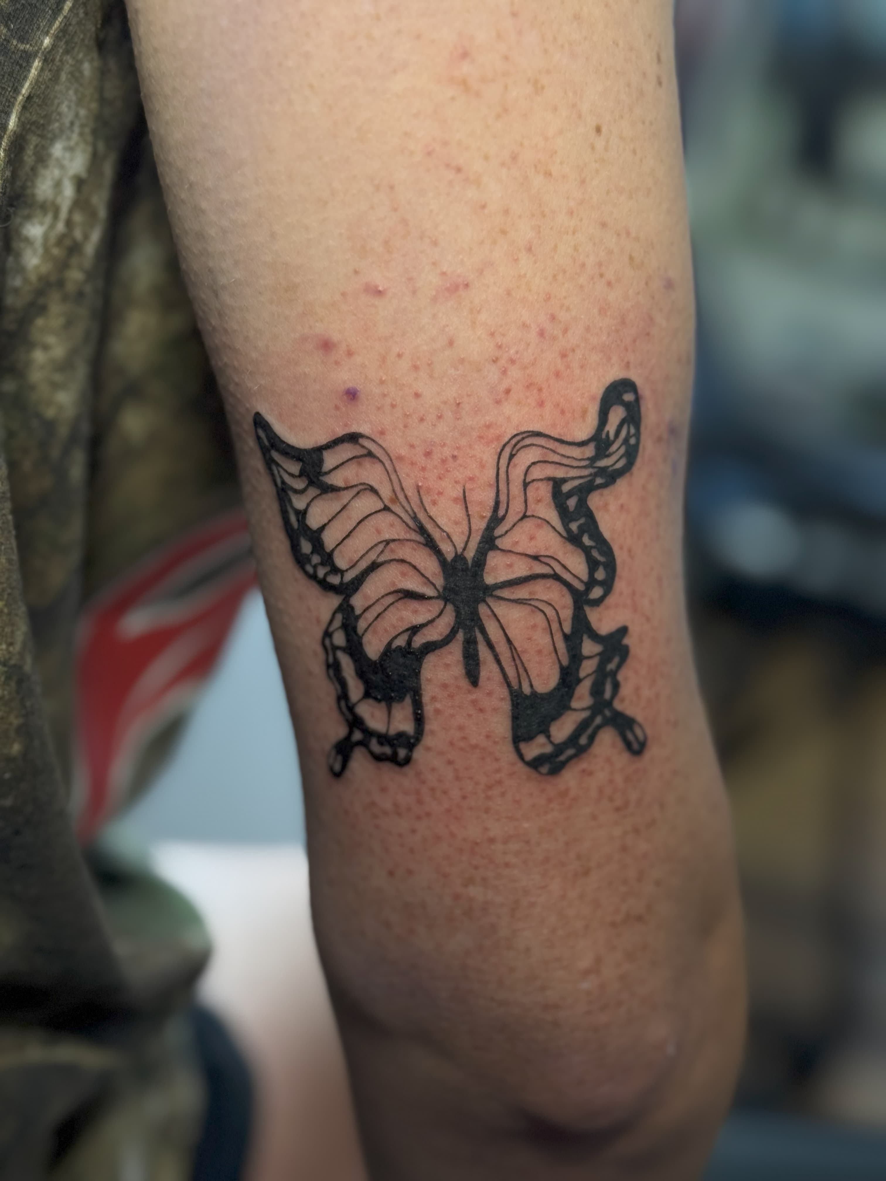 Butterfly